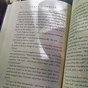 Katie Kiger's photo