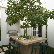 back yard