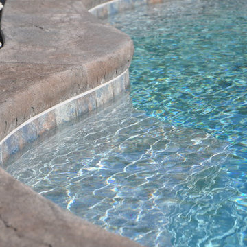 Custom Freeform Style Pool with Raised Spa