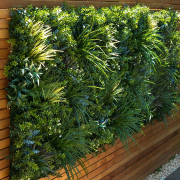 Contemporary Front Garden in Shepherds Bush