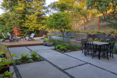 This is an example of a mid-sized contemporary drought-tolerant backyard concrete paver landscaping in San Francisco.