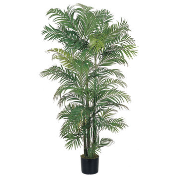 6' Areca Silk Palm Tree