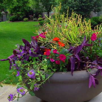 Summer Color