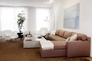 Minimalist living room photo in Other