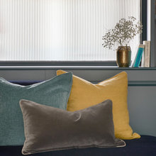 Windows and blinds