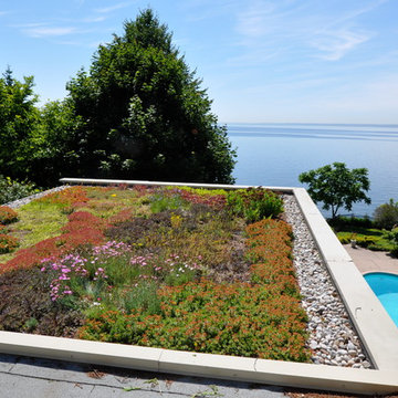 Green Roofs