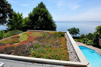 Photo of a modern landscaping in Toronto.