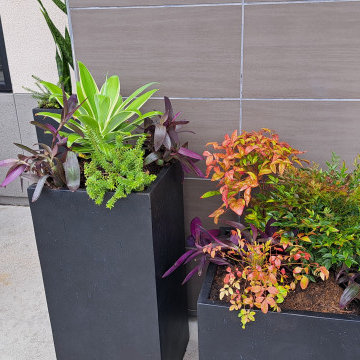 Starbucks Modern Planter Design