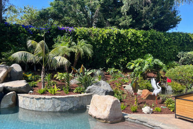 Inspiration for a tropical partial sun, drought-tolerant and rock backyard landscaping in San Diego for summer.