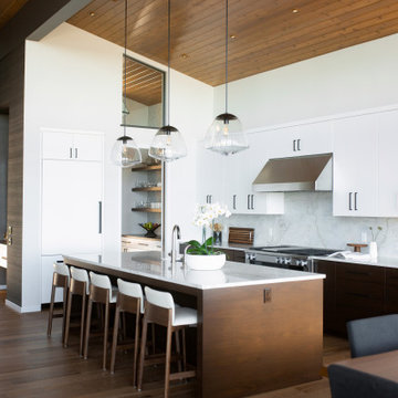 Lake Michigan Modern