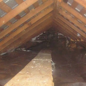 Beverly Hills - Attic Insulation Removal and Replacement