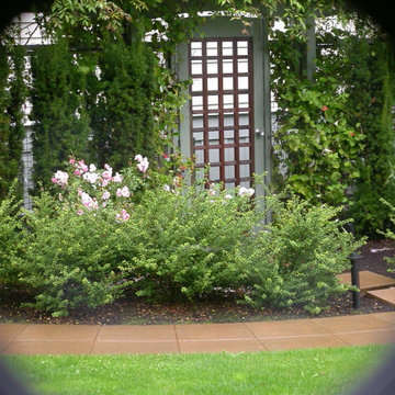 Decorative gate and pergola