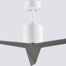 Outdoor Ceiling fan