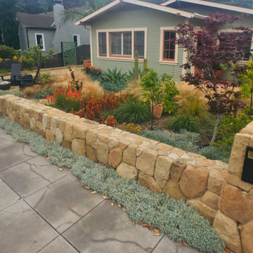 America's Best Front Yard