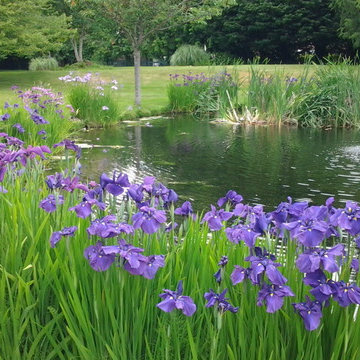 Landscaping and Maintenance