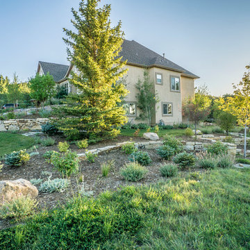 Hillside Garden Landscape with Water Features and Beautiful Plantings