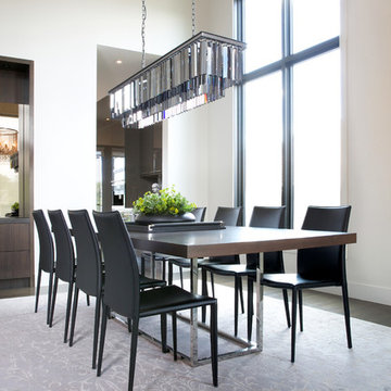 SCENIC CONTEMPORARY