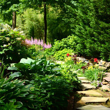 Pamela’s Landscape Ideas
