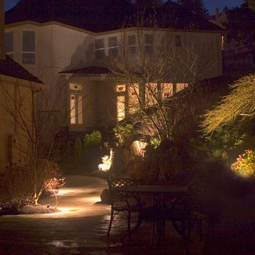 Landscape Lighting