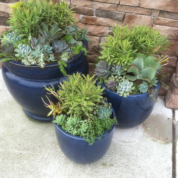 Container Gardens
