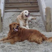 Christina Haftman's photo