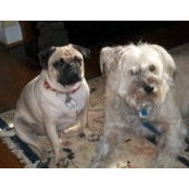 Margaret Herron's photo