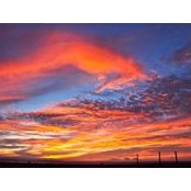 Colleen Wades foto