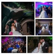 Stephen Kurtz's photo