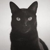 Sara Machado's photo