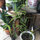 webuser_116351885