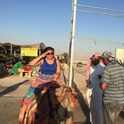 David Yaghoubian's photo