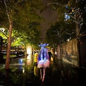 Darby Bicheno's photo
