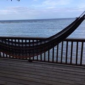Foto von Sandi Waring