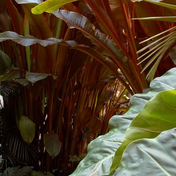 Miami Landscape Design Ideas