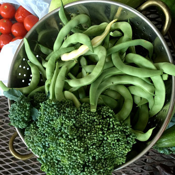 Vegetable variety | Artistry Landscaping Design