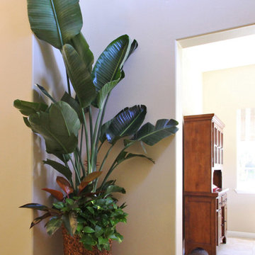 Tropical Foyer
