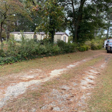 Clean-up Services