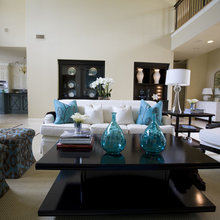 Transistional Living Room
