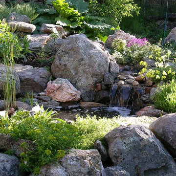 Mountain Oasis
