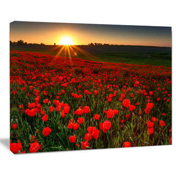 Sunset over Garden with Red Poppies, Floral Canvas Art Print, 20"x12"