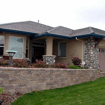 Europa - Cream Brown Color
