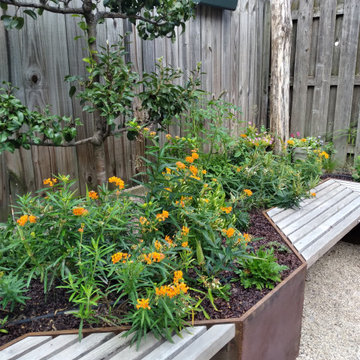 Sunken Patio & Black Locust Climbing Wall- Milwaukee, WI