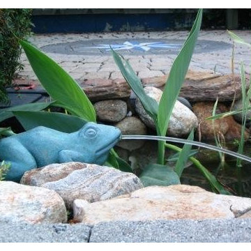 TJB-INC Display Gardens & Ponds - 12 Crestway Hamden