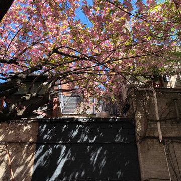 Brooklyn Heights Backyard 1
