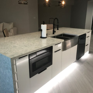 White Contemporary Kitchen