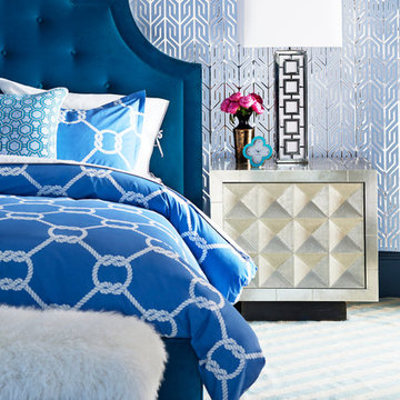 Jonathan Adler ⎹ Spring 2015