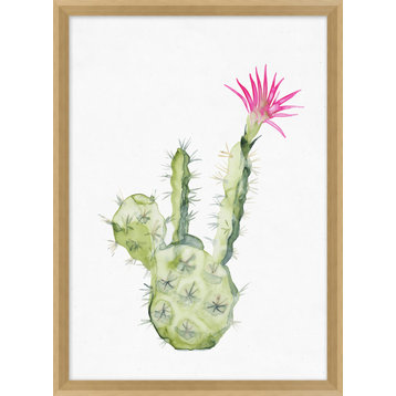 Pink Blooming Cacti 6