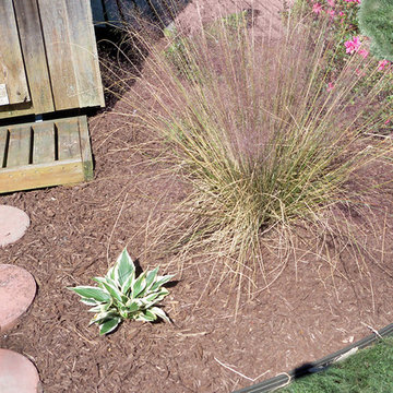Ugly Yard Contest Winner