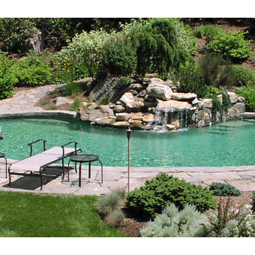 Custom Backyard Pool Portfolio