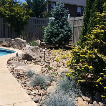 Backyard Oasis